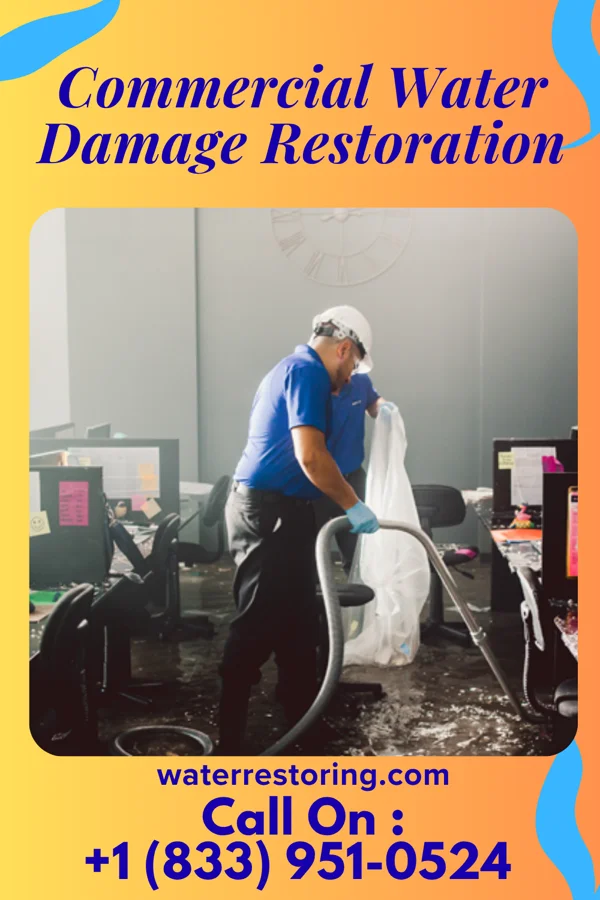 Commercial Water Damage Restoration in Calvin, ND