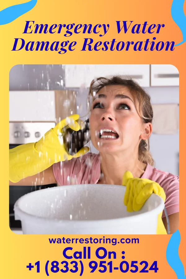 Emergency Water Damage Restoration in Calvin, ND
