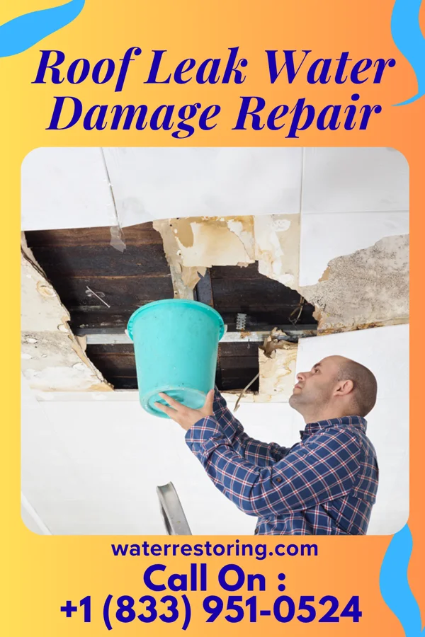 Roof Leak Water Damage Repair in Calvin, ND